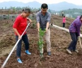 柑橘種植技術有聲書籍_幼樹6月可以追尿素嗎