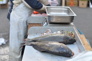 魚內(nèi)臟可以增加柑橘甜度嗎視頻（魚內(nèi)臟魚肝可以吃嗎）