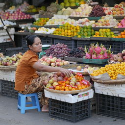 廣西柑橘苗市場在哪里（廣西柑橘主產(chǎn)區(qū)）