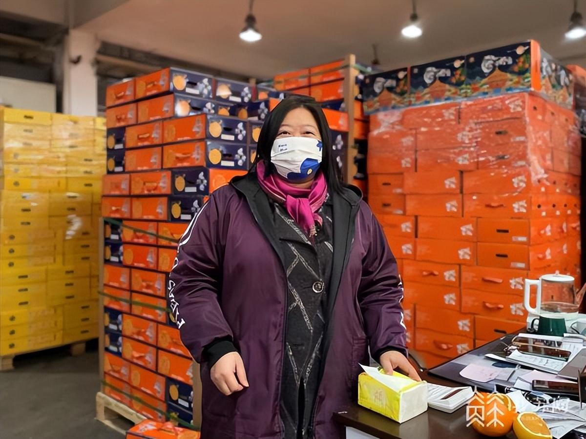 南京柑橘樹苗有什么新品種_集慶門附近的酒店